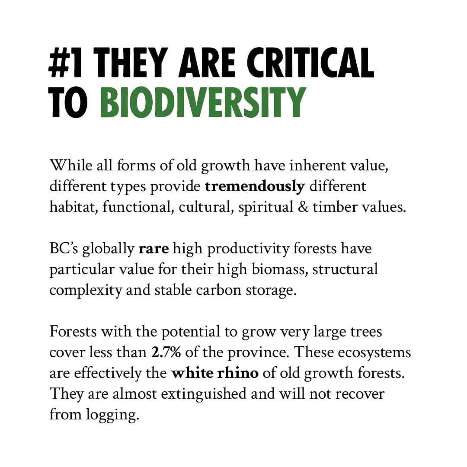 #1 They Are Critical to Biodiversity
