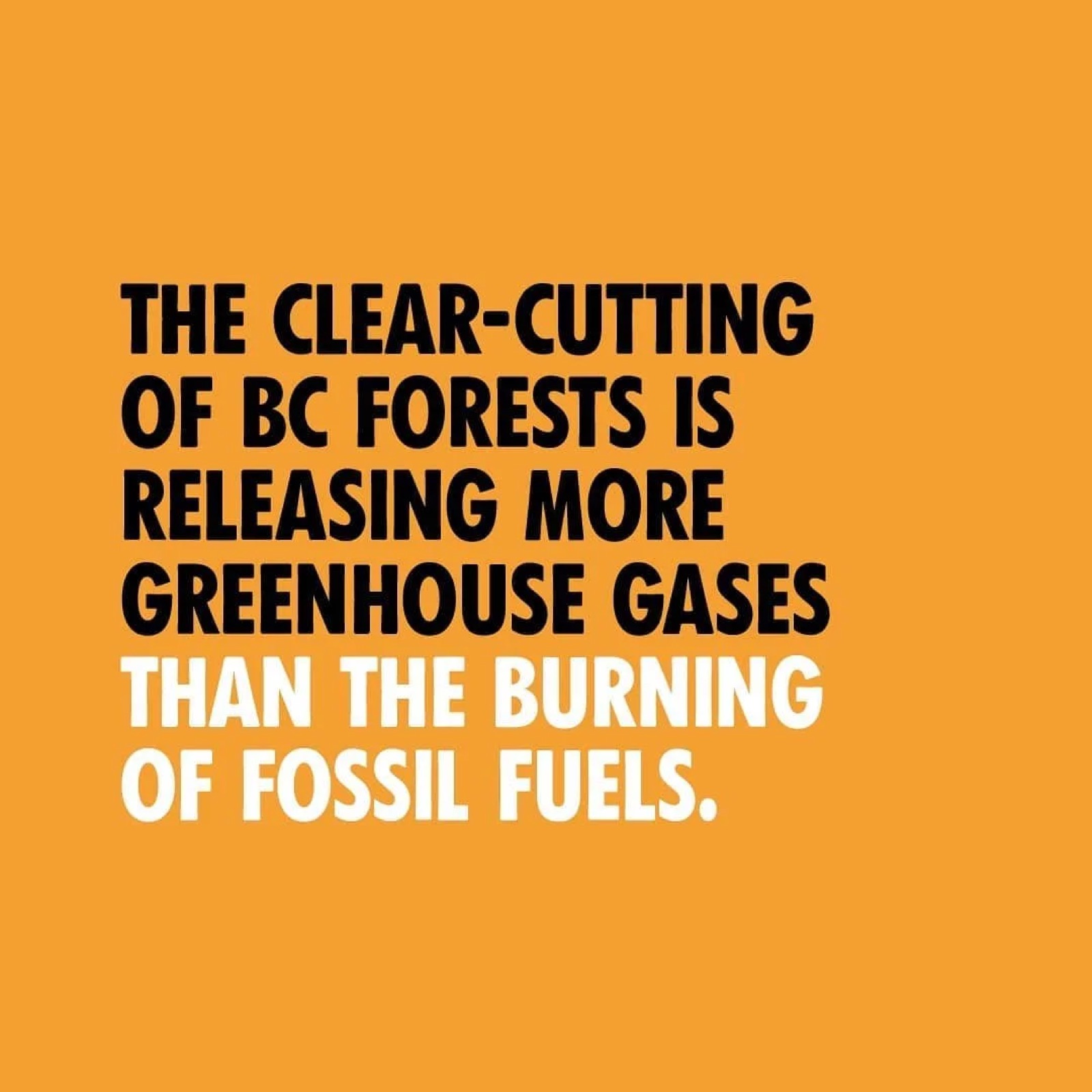 Clear-cutting of BC forests releasing greenhouse gases