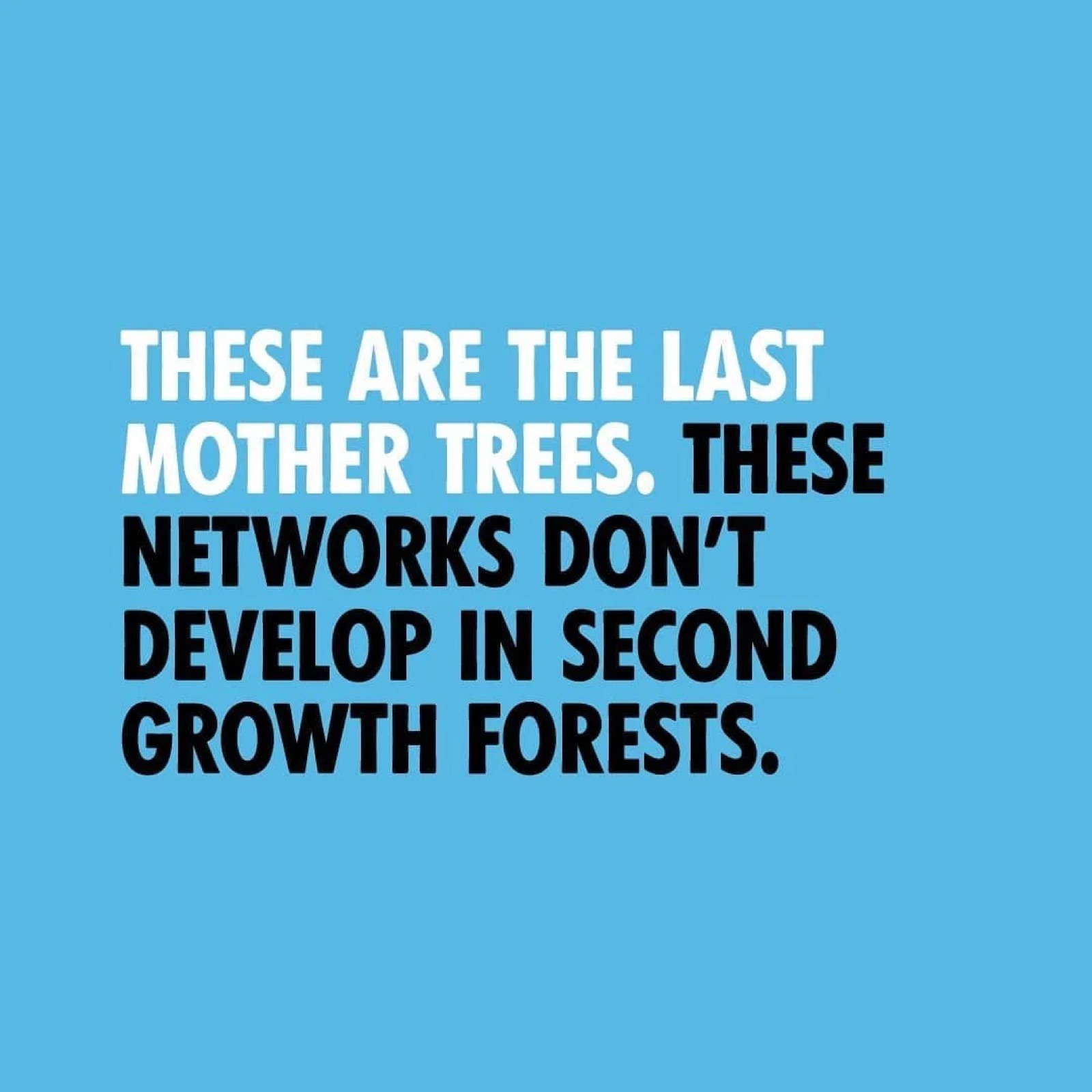 #4 They Are Critical for Indigenous Food Sovereignty