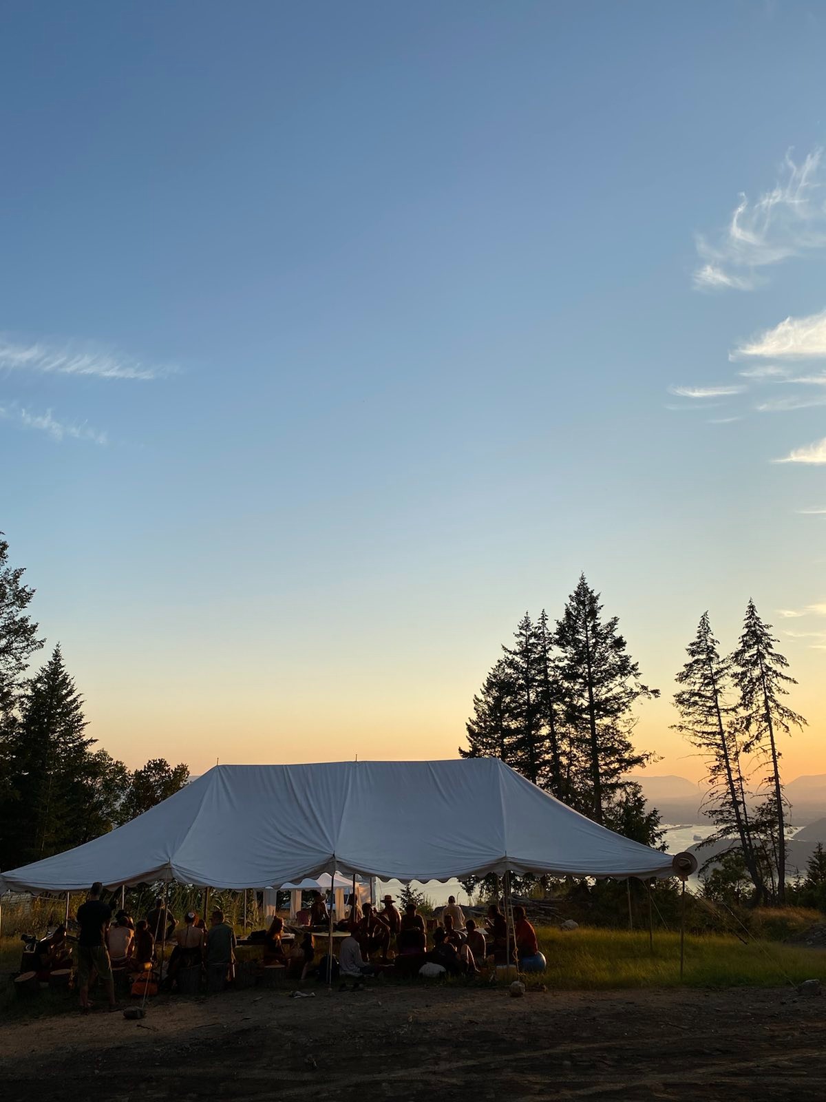 Rhizome Springs — A 8235b 23d 404183ef 8f 91b 20c 70c 5b 12190f 8dadfe 9d 5870d 3dd 80169e 631e 9e