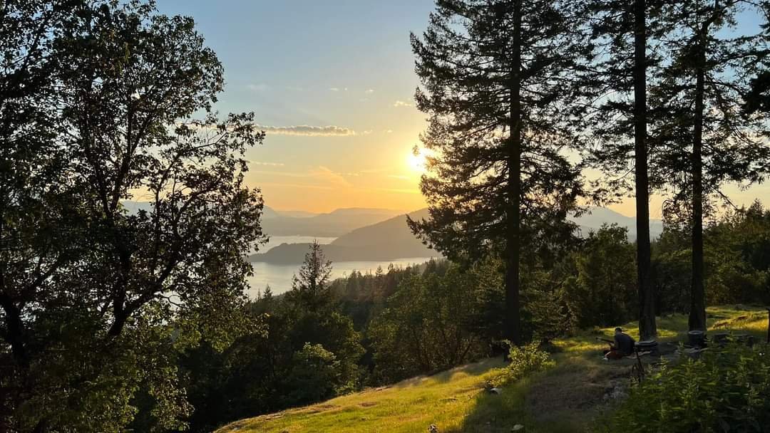 Rhizome Springs — Bluffsunsetmay 2023