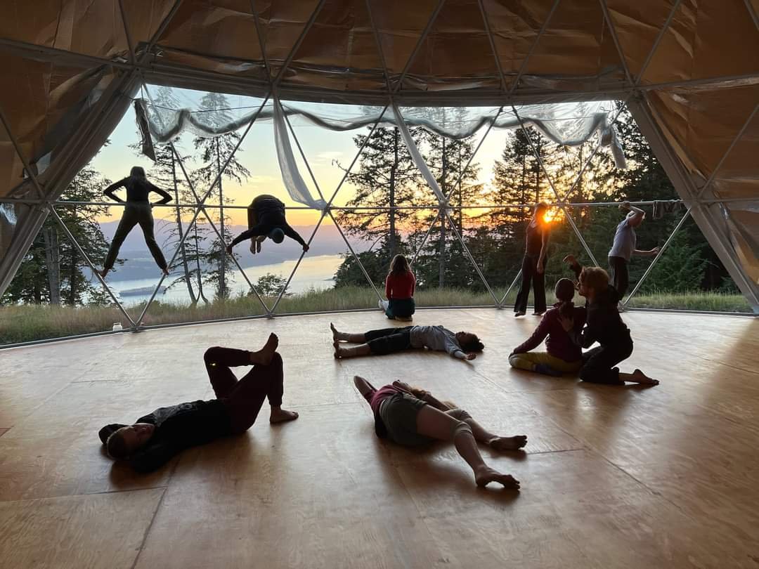 Rhizome Springs — Domesunset