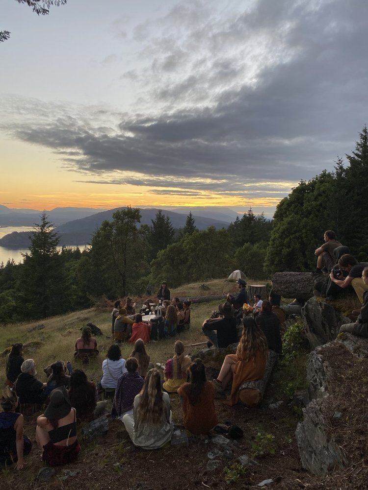 Rhizome Springs — Signal 2021 06 21 100553