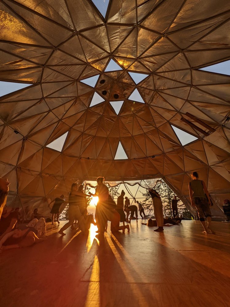 Rhizome Springs — Signal 2022 10 11 18 11 54 687